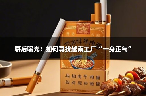 幕后曝光！如何寻找越南工厂“一身正气”