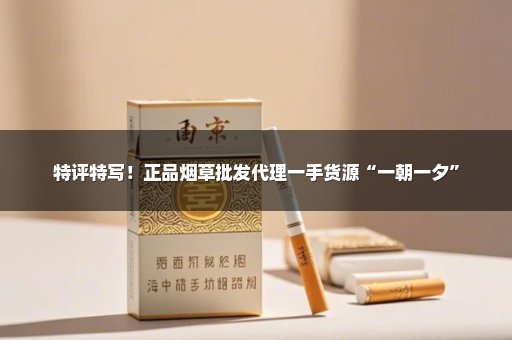 特评特写！正品烟草批发代理一手货源“一朝一夕”