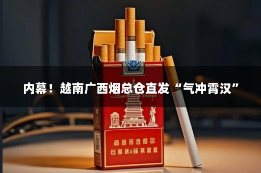 内幕！越南广西烟总仓直发“气冲霄汉”